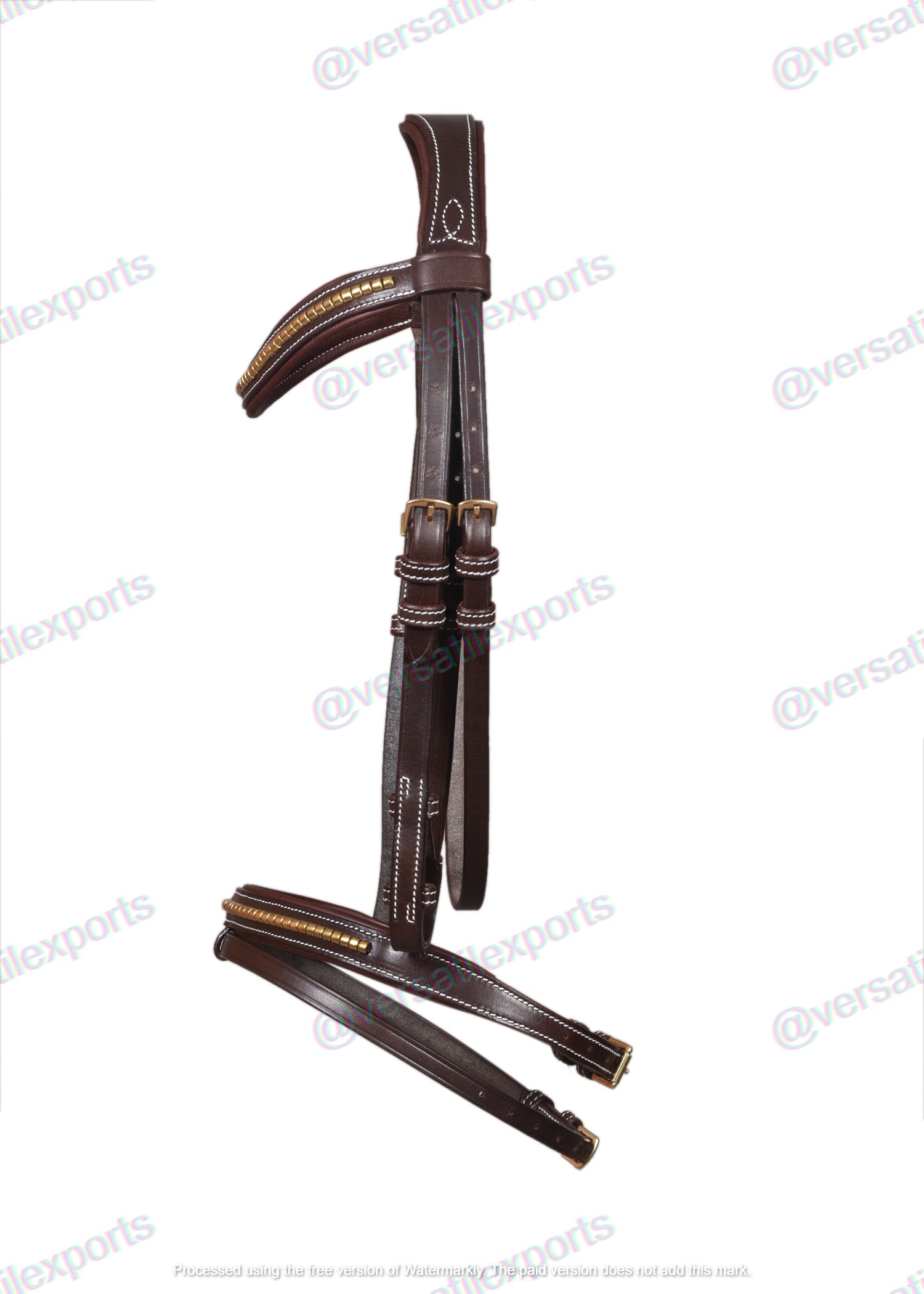 Bridle with Clinches
